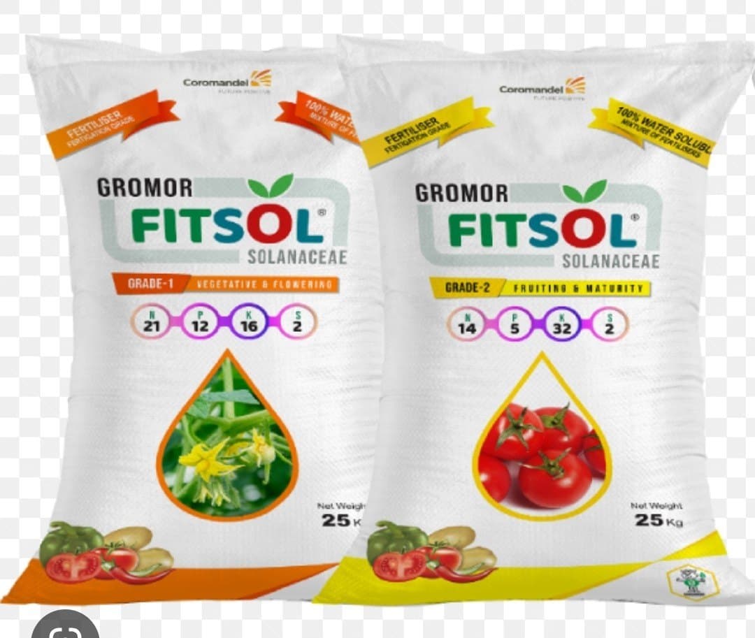 Image for Fitsol: 10 Key Things You Must Know