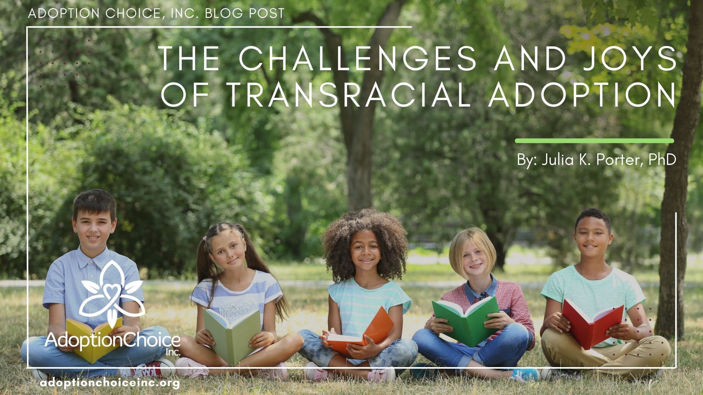 Image for Research Highlights Trauma for Black Individuals Raised by White Adoptive Parents