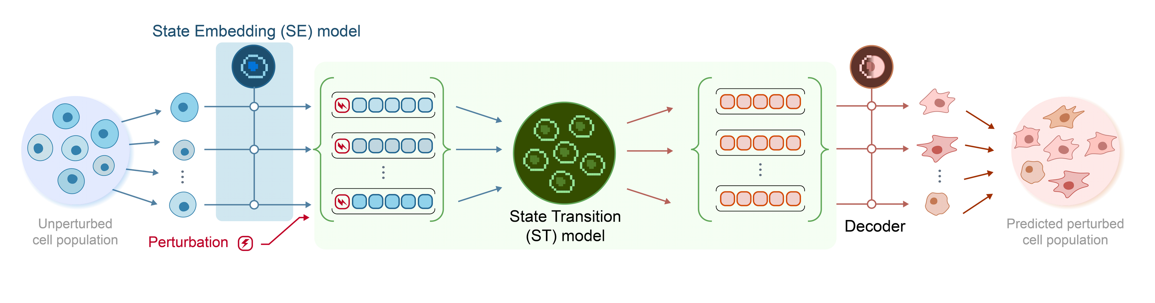 Image for Arc Institute Unveils 'State' AI Model, Promising 50% Improvement in Perturbation Prediction