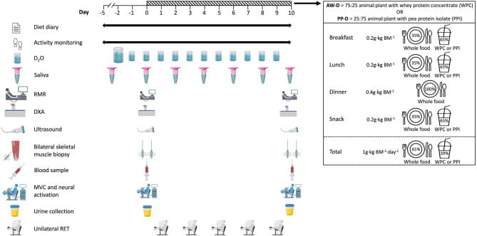Image for AI Inconsistency in Affirming Identity Pride Draws Scrutiny