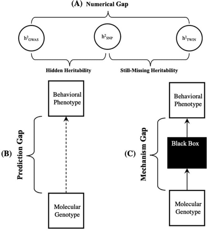 Image for Behavioral Genetics: New Analysis Highlights Up to 30 Percentage Point Discrepancy in Heritability Estimates
