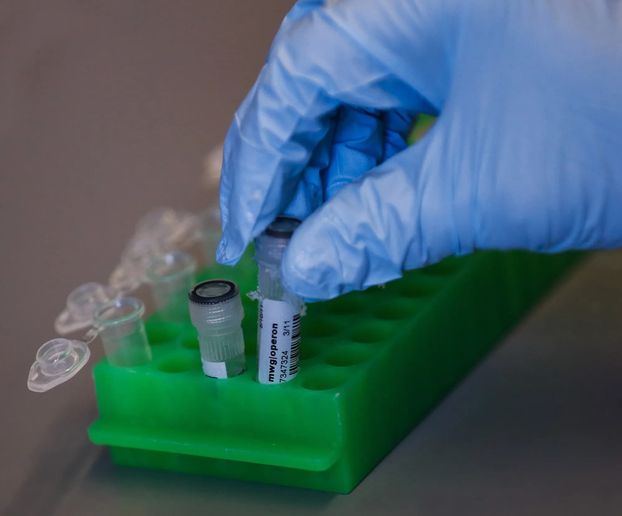 Image for Noah Smith Delineates Gene Editing for Intelligence from IQ Heritability Discussions