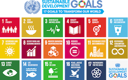 Decoding the 2030 Agenda: World Economic Forum's Visions and Viral Misconceptions