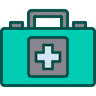 Healthcare icon