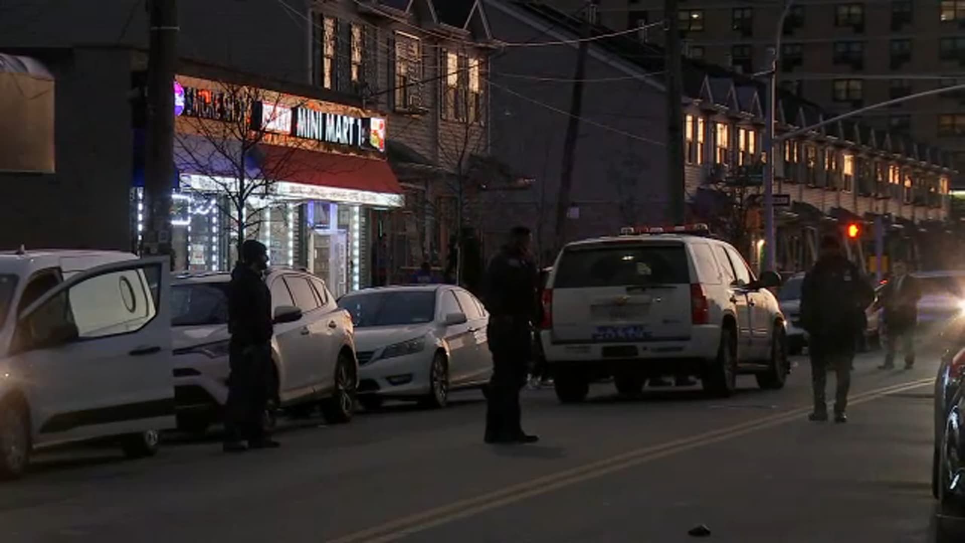 Image for Woman Robbed, Assaulted by Group in Coney Island Amidst Fluctuating Crime Trends