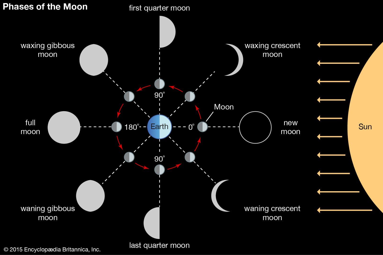Image for Phase