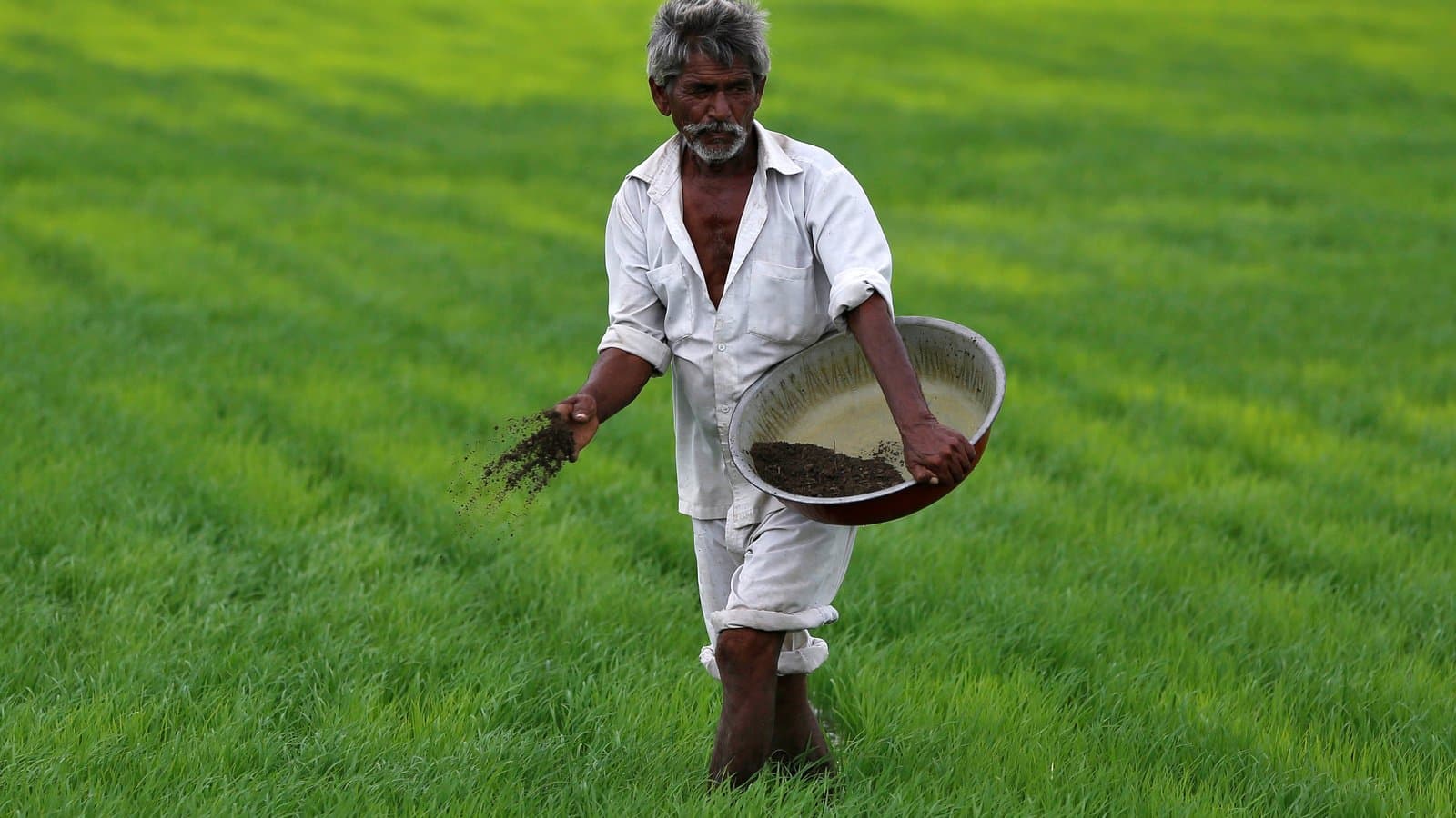 Image for 76% Groundwater Over-Exploitation in Punjab Fuels Debate on Green Revolution's 'Net Negative' Impact