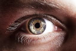 Study Confirms Voluntary Pupil Control with 2.4mm Dilation, Challenging Decades of Scientific Belief