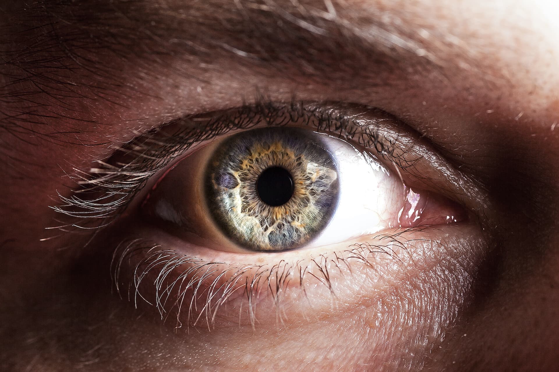 Image for Study Confirms Voluntary Pupil Control with 2.4mm Dilation, Challenging Decades of Scientific Belief