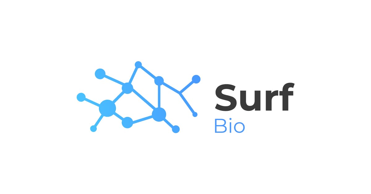 Image for Surf Bio: 10 Key Things You Must Know