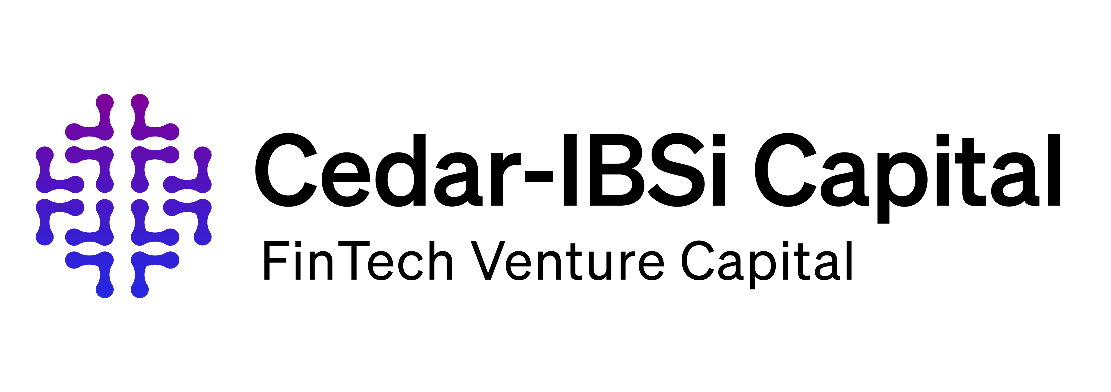 Image for Cedar-IBSi Capital