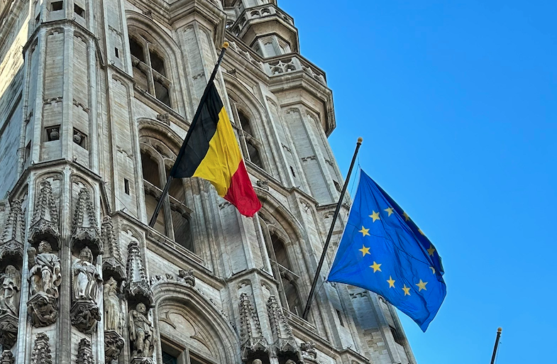 Image for Belgian Government Under Fire Over "Dimitriev-Witkoff" Ukraine Peace Plan Stance