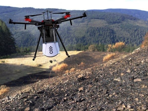 Image for Drone Technology Plants 50,000 Seeds Daily in Canada's Post-Wildfire Reforestation Efforts