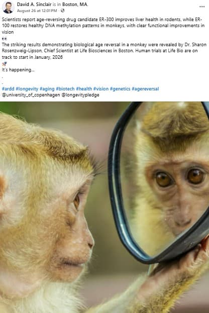 Image for David Sinclair Reports Increased Epigenetic Stability in Monkey Studies, Advancing Aging Reversal Research