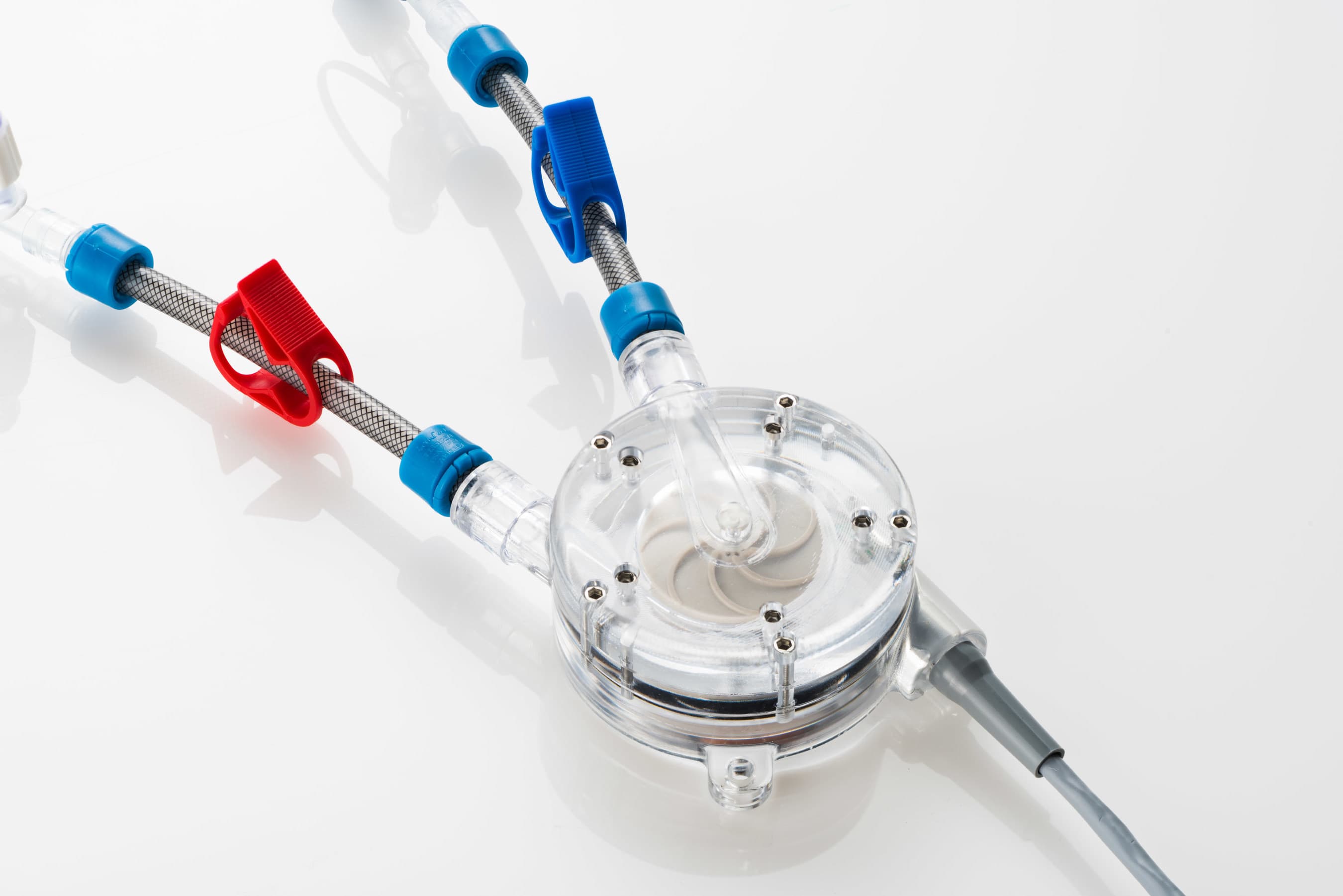 Image for Amplifi Vascular: 10 Key Things You Must Know