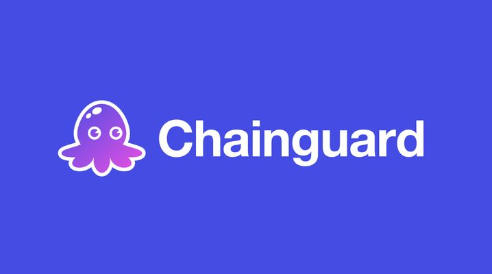 Image for Chainguard: 10 Key Things You Must Know