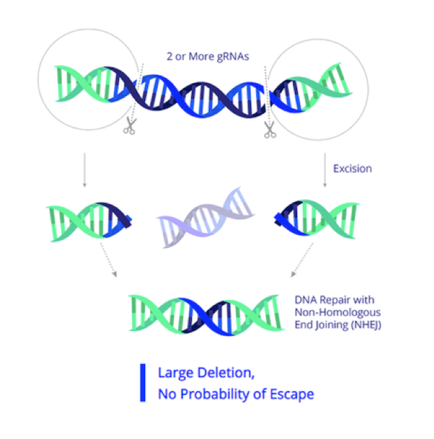 Image for Excision Medical