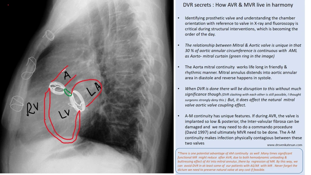 Image for Concerns Rise Over Long-Term Context Loss in X Archives Due to t.co Link Reliance