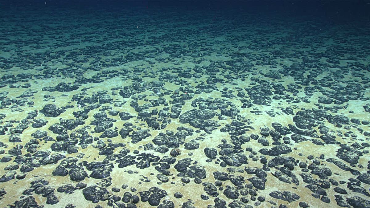 Image for Deep-Sea Nodules Pose Minimal Radiation Risk, New Study Finds