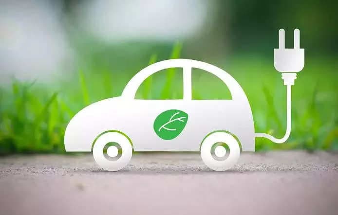 Image for Greenie: 10 Key Things You Must Know