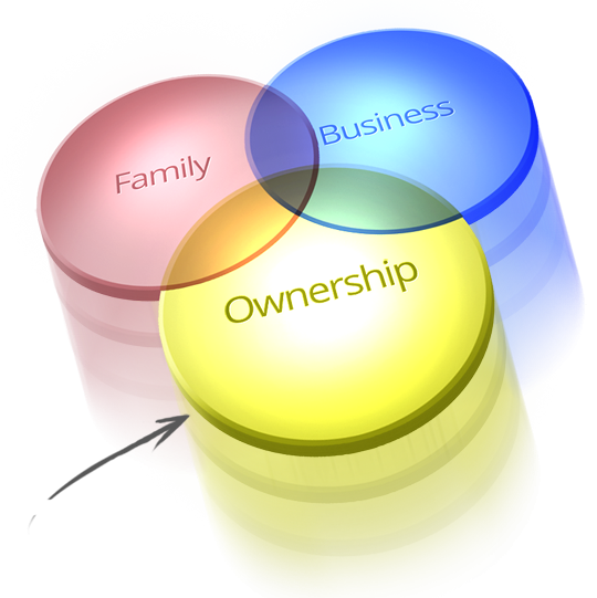 Image for OWNER: 10 Key Things You Must Know