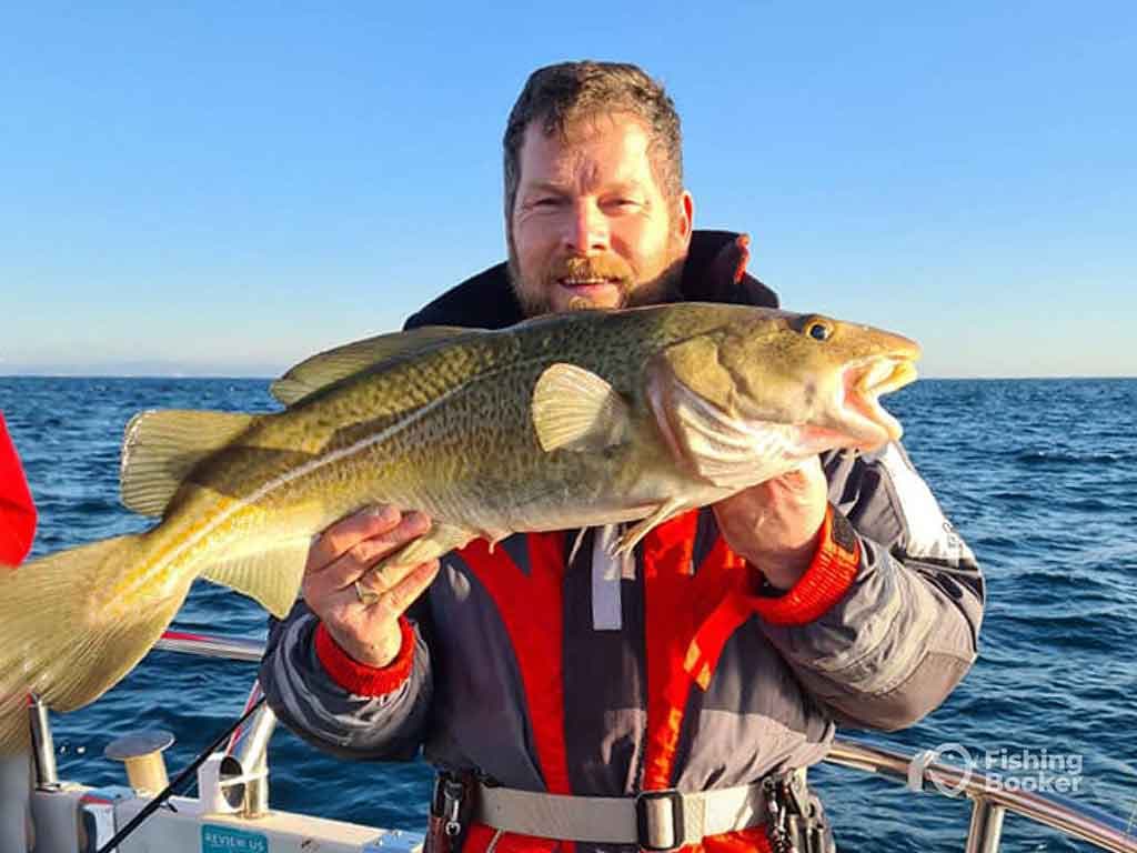 Image for Expansive British Ordinance Defines 'Fish' as All Sea Creatures, Prompting Legal and Welfare Discussions