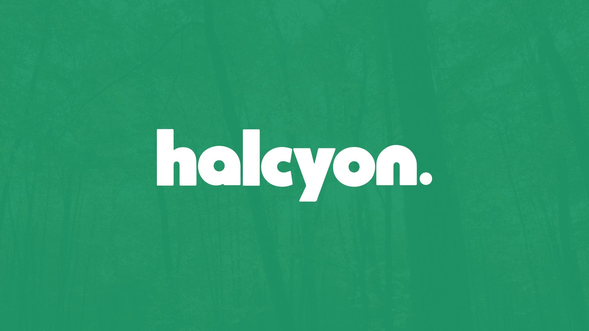 Image for Former Lolli Executives Launch Halcyon, a New PR Firm for Emerging Tech