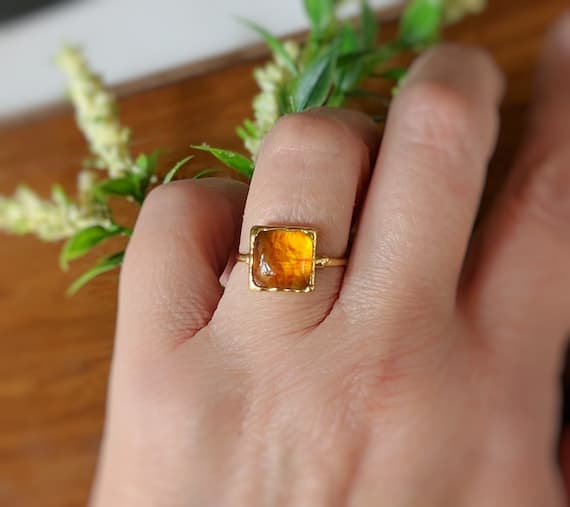 Image for Amber: 10 Key Things You Must Know