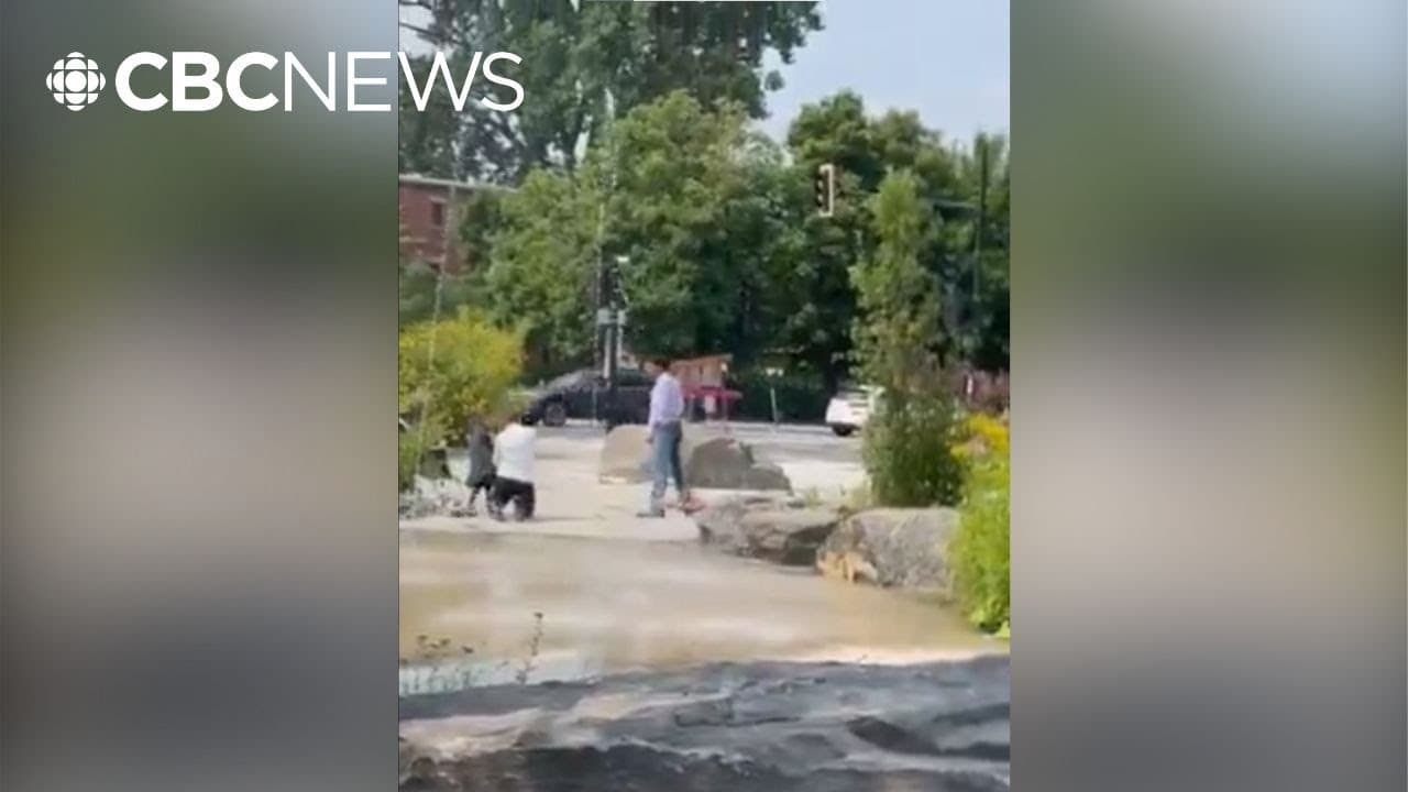 Image for Montreal Man Charged in Park Assault of Jewish Father to Undergo Psychiatric Evaluation