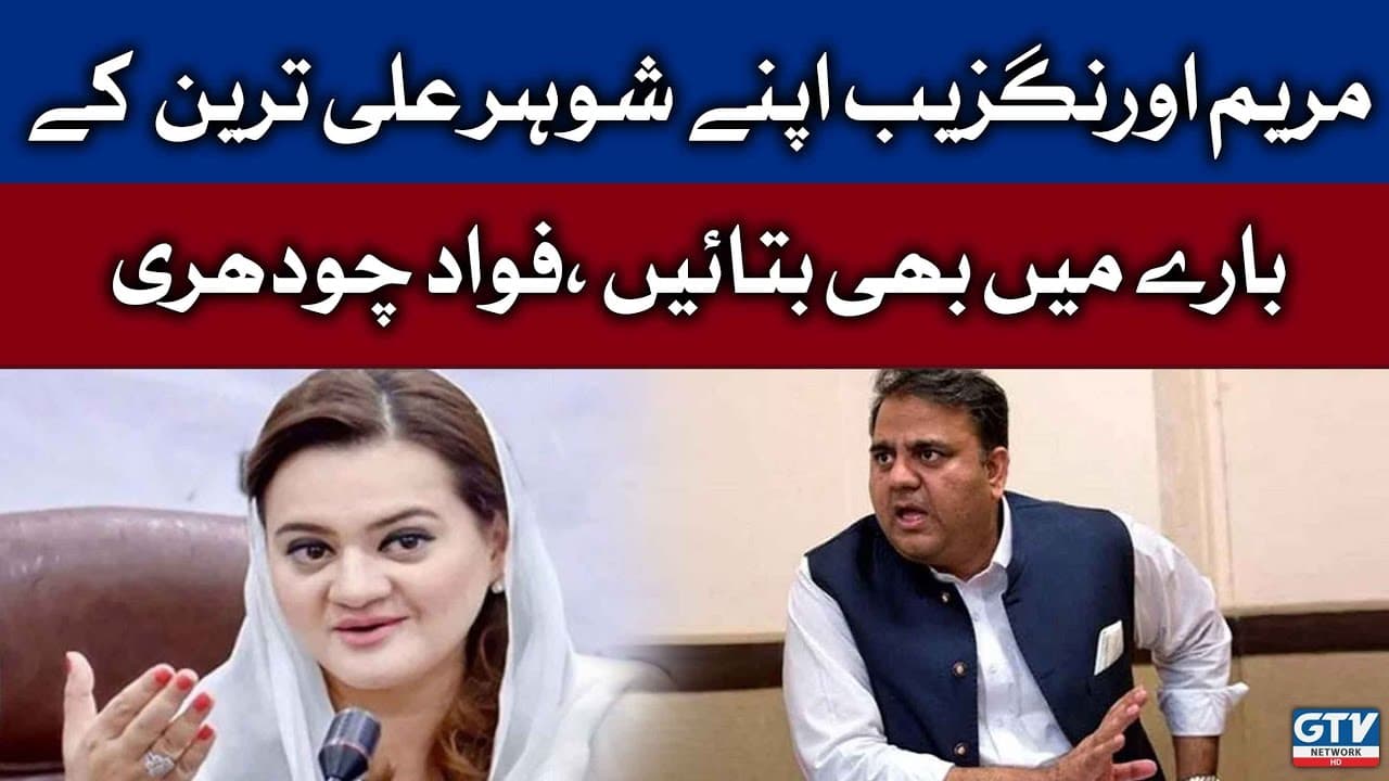 Image for Marriyum Aurangzeb's Enduring Partnership: A Look at Her Private Life with Ali Aurangzeb
