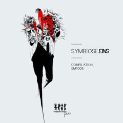 Image for Justas Poderys (Monopulse): 10 Key Things You Must Know