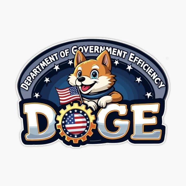 Image for Department of Government Efficiency Under Scrutiny as Leadership Role Remains Contested