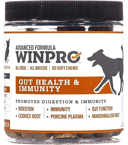 Image for WINPRO Pet: 10 Key Things You Must Know