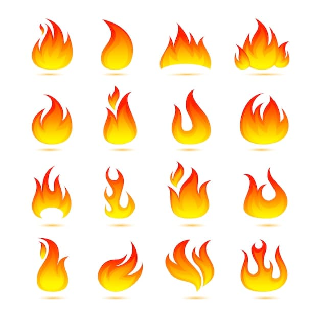 Image for Fuego