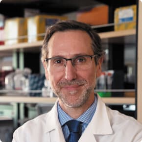 Image for Antoni Ribas (ImmPACT Bio): 10 Key Things You Must Know