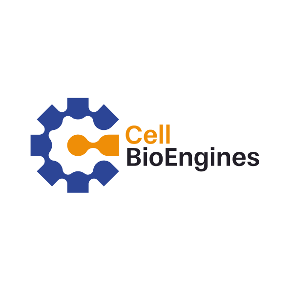 Image for Cell BioEngines: 10 Key Things You Must Know