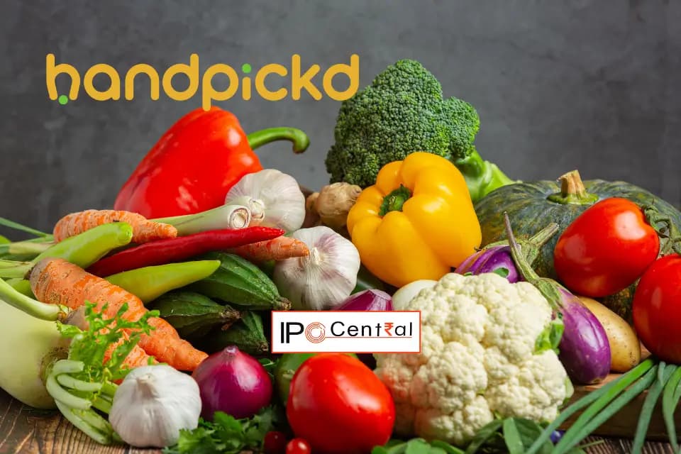 Image for Handpickd: 10 Key Things You Must Know