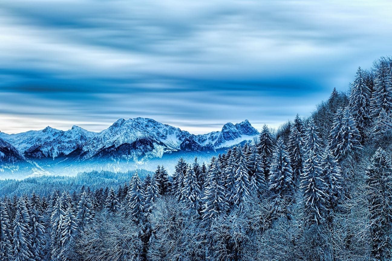 Image for Taiga