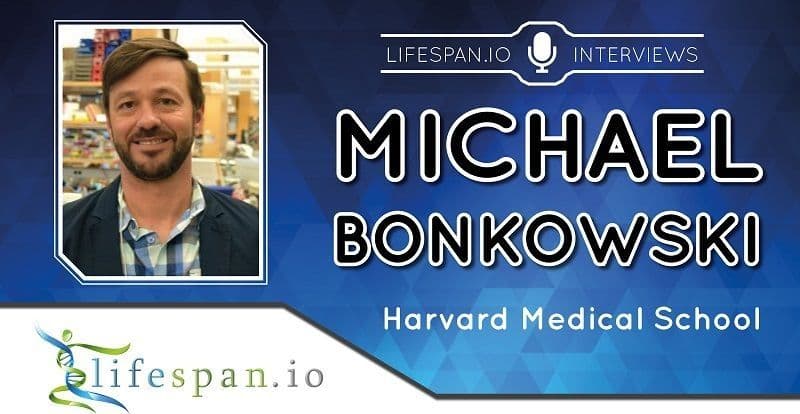 Image for Michael Bonkowski PhD Remembered Five Years After Unexpected Passing, Legacy in Aging Research Endures