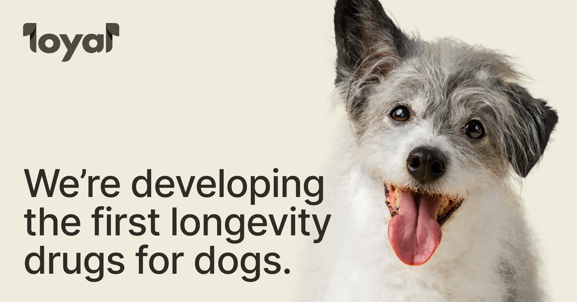 Image for Loyal's Anti-Aging Pill for Dogs, LOY-002, Inches Closer to FDA Approval with "Reasonable Expectation of Effectiveness"