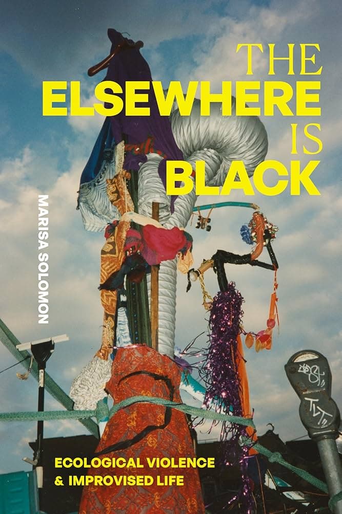 Image for New Book Explores Ecological Violence as Racialized Environmental Control