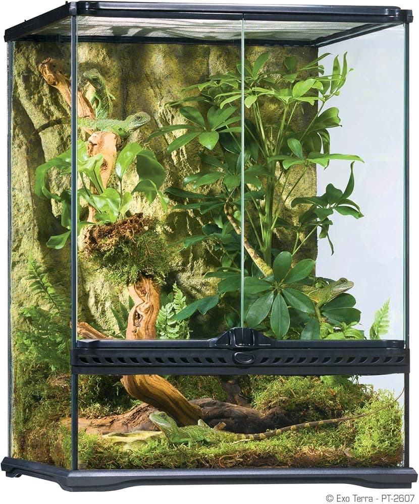Image for ExoTerra: 10 Key Things You Must Know