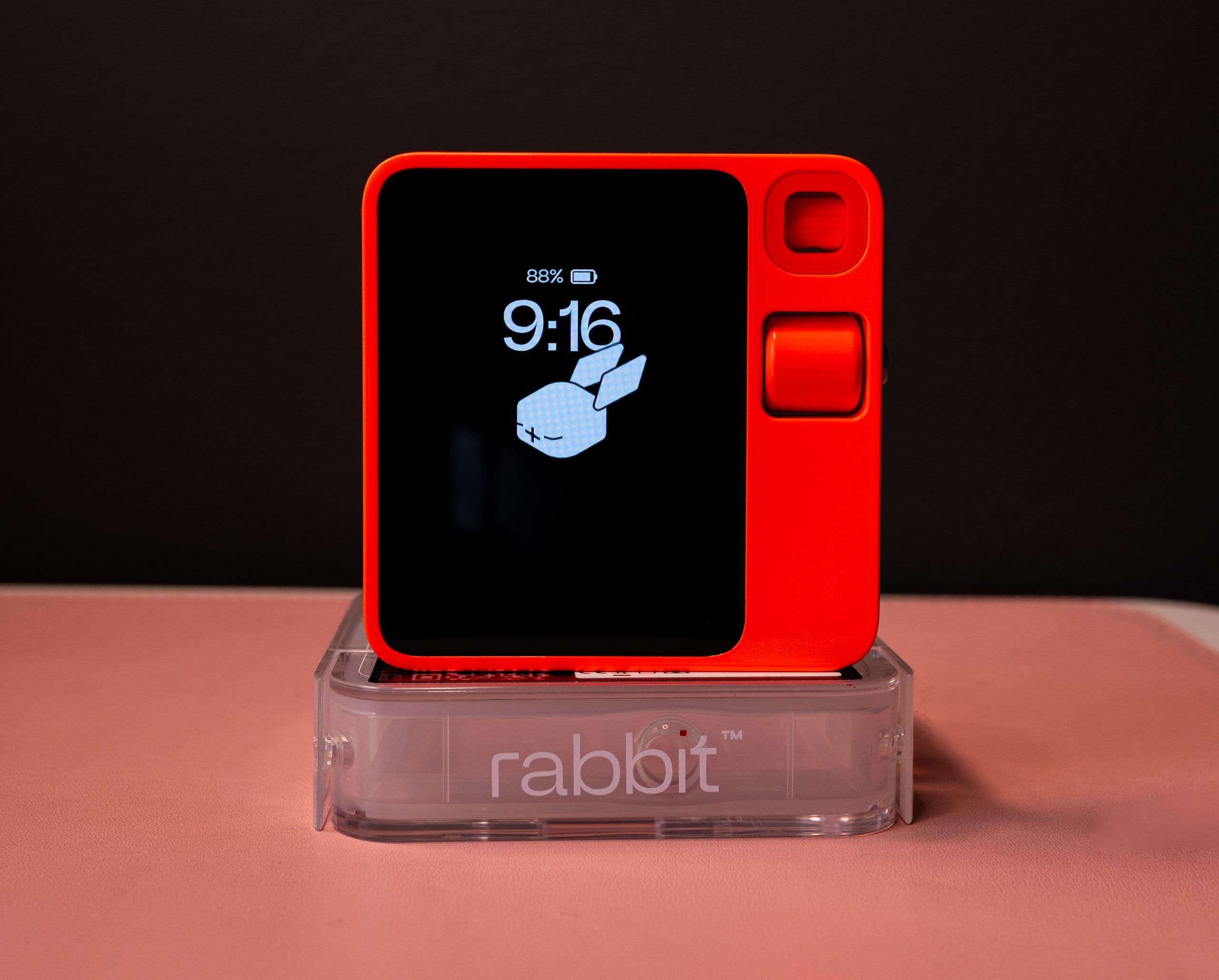 Image for rabbit