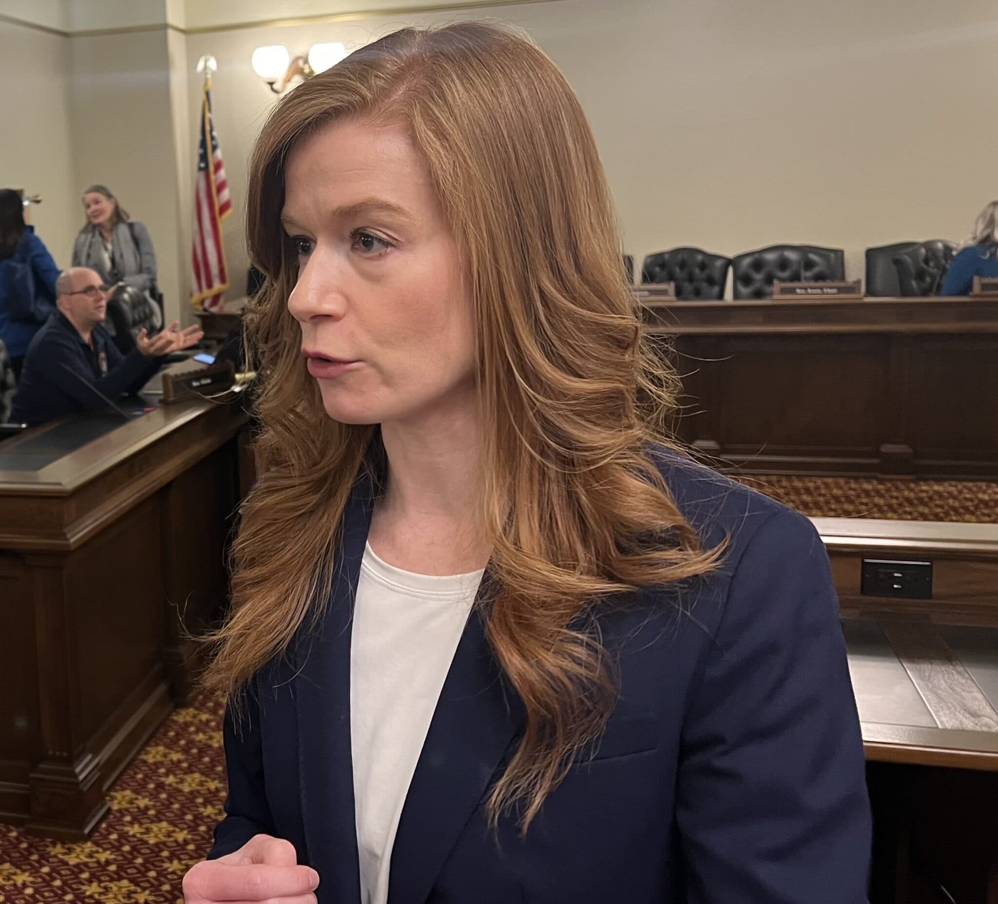 Image for Michigan's Open Senate Seat Ignites Ideological Battle Within Democratic Primary