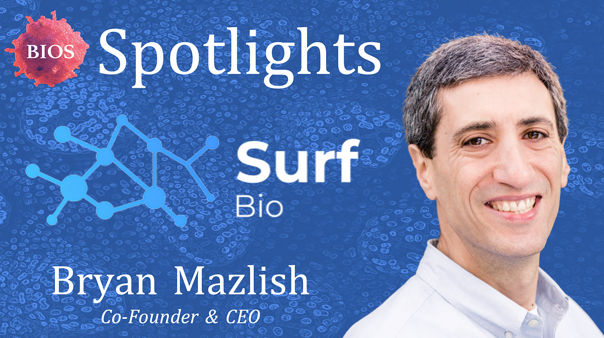 Image for Bryan Mazlish (Surf Bio): 10 Key Things You Must Know