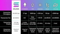 Solana's Ecosystem Sees Active Addresses Jump Over 1500% as 'Solana Summer' Narrative Continues