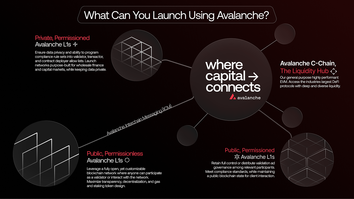 Image for Avalanche Bolsters Capital Markets Integration with $300 Million SkyBridge Tokenization