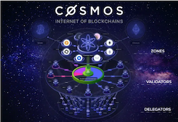 Cosmos Hub Sustains Decentralized Consensus with 180 Active Validators