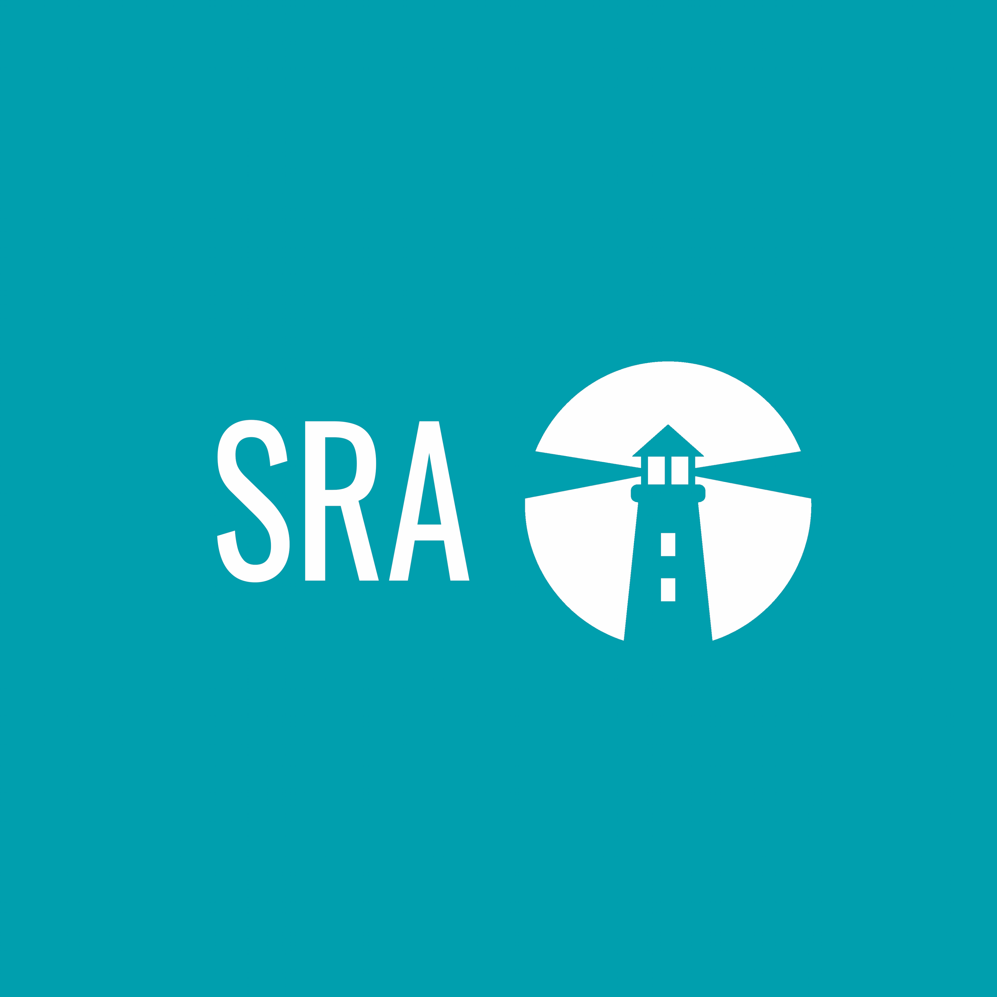 Image for Strategic Risk Associates