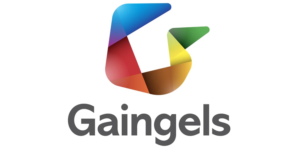 Image for Gaingels: 10 Key Things You Must Know